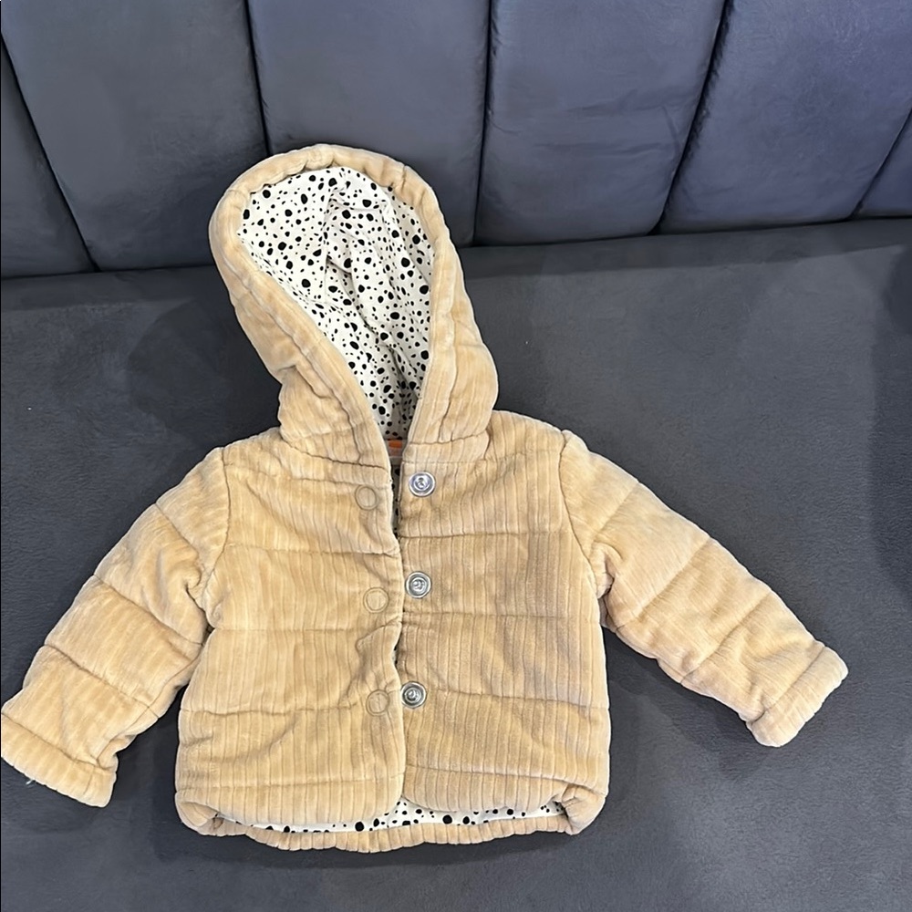 Hem Tan Puffer Jacket with Hood